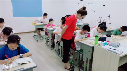 金華八年級(jí)語文1對(duì)多培訓(xùn) 起點(diǎn)教育助力文化素養(yǎng)提升與交流